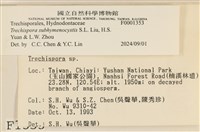 登錄號:F0001353藏品圖，第3張