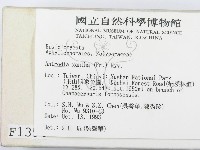 登錄號:F0001354藏品圖，第2張