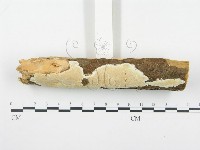 登錄號:F0001354藏品圖，第3張