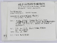 登錄號:F0001357藏品圖，第2張