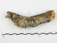 登錄號:F0001358藏品圖，第1張