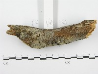 登錄號:F0001358藏品圖，第3張