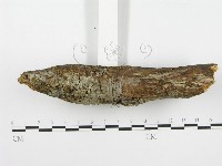 登錄號:F0001358藏品圖，第4張