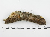 登錄號:F0001358藏品圖，第5張