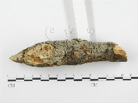 登錄號:F0001358藏品圖，第6張