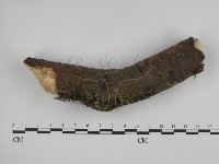 登錄號:F0001360藏品圖，第1張