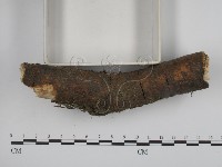 登錄號:F0001360藏品圖，第3張