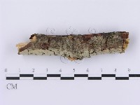 登錄號:F0001362藏品圖，第1張