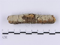登錄號:F0001362藏品圖，第3張