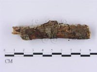 登錄號:F0001362藏品圖，第4張