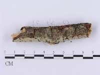 登錄號:F0001362藏品圖，第5張