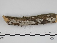 登錄號:F0001363藏品圖，第1張