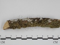 登錄號:F0001363藏品圖，第3張