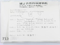 登錄號:F0001365藏品圖，第2張