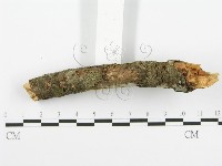 登錄號:F0001365藏品圖，第4張