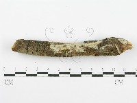 登錄號:F0001365藏品圖，第6張