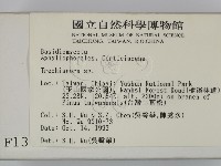 粗糙孢菌屬藏品圖，第2張