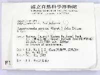 登錄號:F0001368藏品圖，第2張