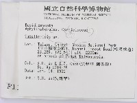 登錄號:F0001369藏品圖，第2張