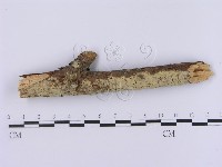 登錄號:F0001369藏品圖，第1張