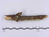 登錄號:F0001369藏品圖，第3張