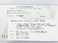 登錄號:F0001372藏品圖，第2張