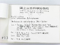 登錄號:F0001372藏品圖，第3張