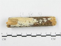 登錄號:F0001372藏品圖，第1張
