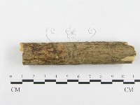 登錄號:F0001372藏品圖，第6張