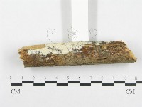 登錄號:F0001372藏品圖，第7張