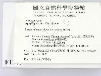 登錄號:F0001373藏品圖，第2張