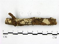 登錄號:F0001373藏品圖，第1張
