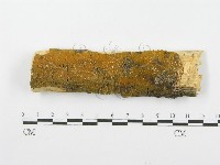 登錄號:F0001374藏品圖，第1張
