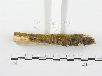 登錄號:F0001374藏品圖，第4張