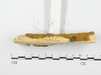 登錄號:F0001374藏品圖，第5張