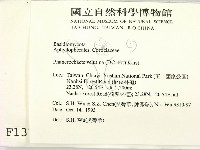 登錄號:F0001375藏品圖，第2張