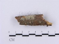 登錄號:F0001376藏品圖，第1張