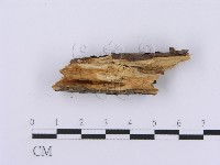 登錄號:F0001376藏品圖，第3張