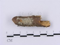 登錄號:F0001376藏品圖，第4張