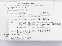 登錄號:F0001377藏品圖，第2張