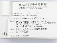 登錄號:F0001377藏品圖，第3張