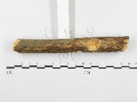 登錄號:F0001377藏品圖，第4張