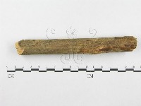登錄號:F0001377藏品圖，第5張