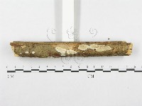登錄號:F0001377藏品圖，第6張