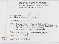 登錄號:F0001378藏品圖，第2張
