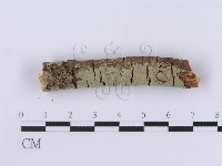 登錄號:F0001378藏品圖，第1張