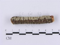 登錄號:F0001378藏品圖，第3張