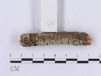 登錄號:F0001378藏品圖，第4張