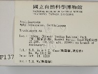 粗糙孢菌屬藏品圖，第2張
