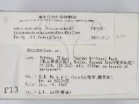 登錄號:F0001380藏品圖，第2張